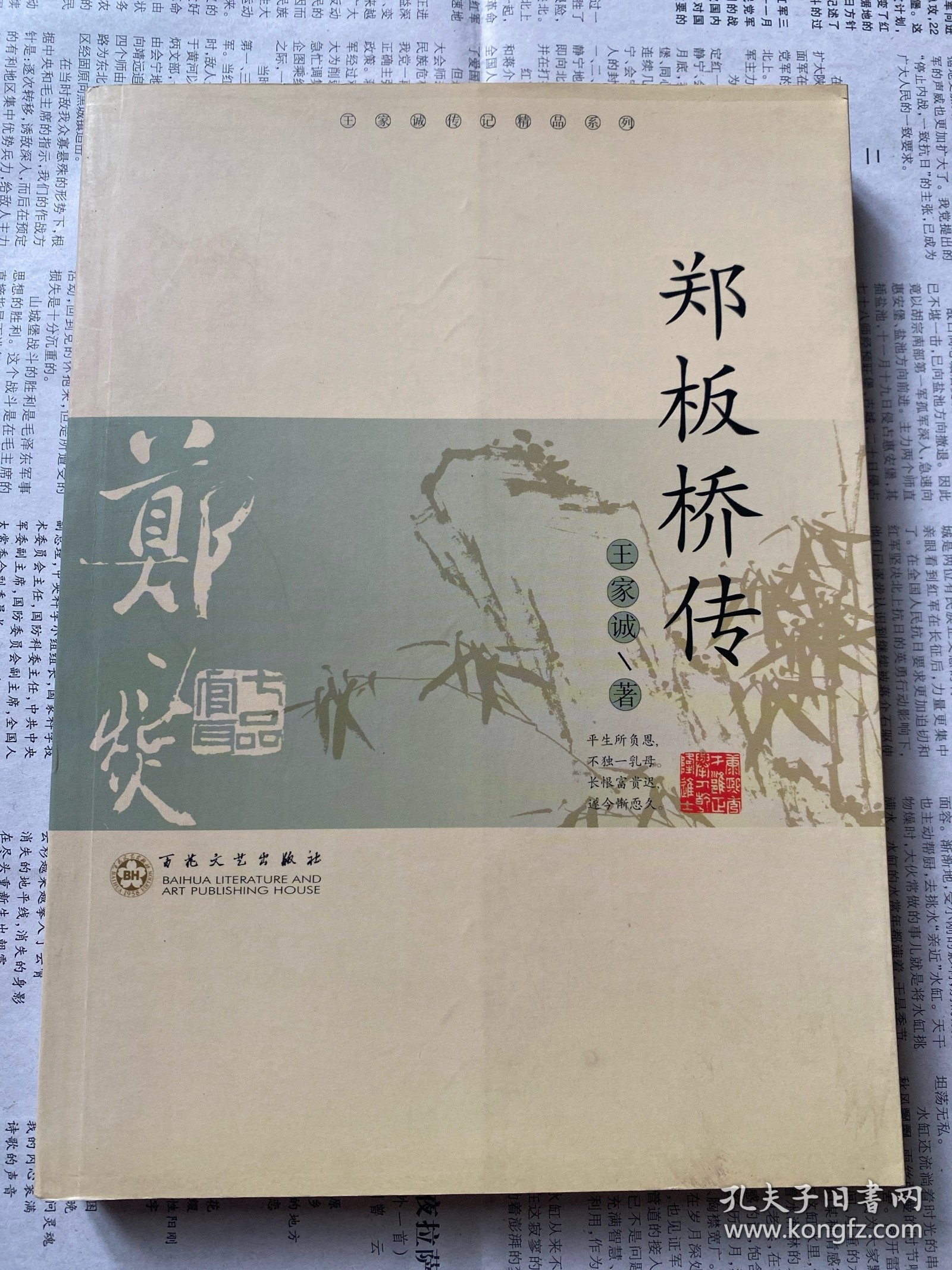 郑板桥传（王家诚传记精品系列）