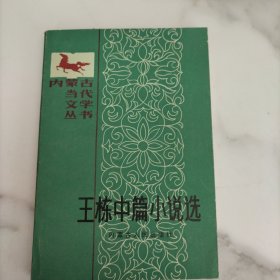 王栋中篇小说选