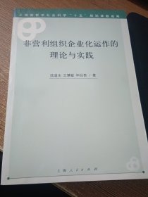 非營(yíng)利組織企業(yè)化運(yùn)作的理論與實(shí)踐【部分頁(yè)碼有閱讀的鉛筆痕跡】