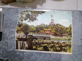 50年代或更早的彩色北京.北海白塔画片一张23.3/30厘米