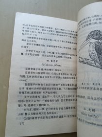 观赏鸟养殖利用技术