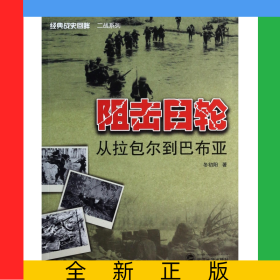 阻击日轮(从拉包尔到巴布亚)/经典战史回眸二战系列
