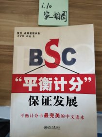 BSC平衡计分保证发展姜定维、蔡巍  著9787301080603