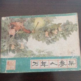 万年人参果
