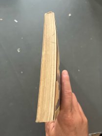 中国快车道:市场经济放眼录