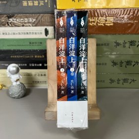 白洋淀上（全3卷）