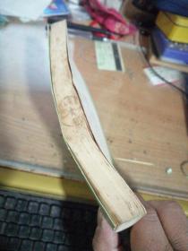 阿拉伯-伊斯兰文化史第一册黎明时期