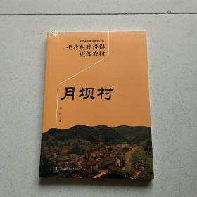 把农村建设得更像农村月坝村（乡村建设从规划到落实的新实践）