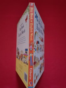 The Usborne big book of english words