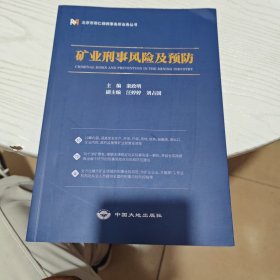 矿业刑事风险及预防（几乎全新内干净）