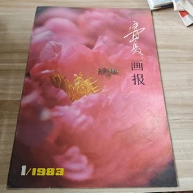 【创刊号】《宁夏画报》【创刊号】1983年第1期（季刊）