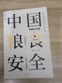 中国粮食安全战略与对策袁隆平作序推荐王宏广著中信出版社