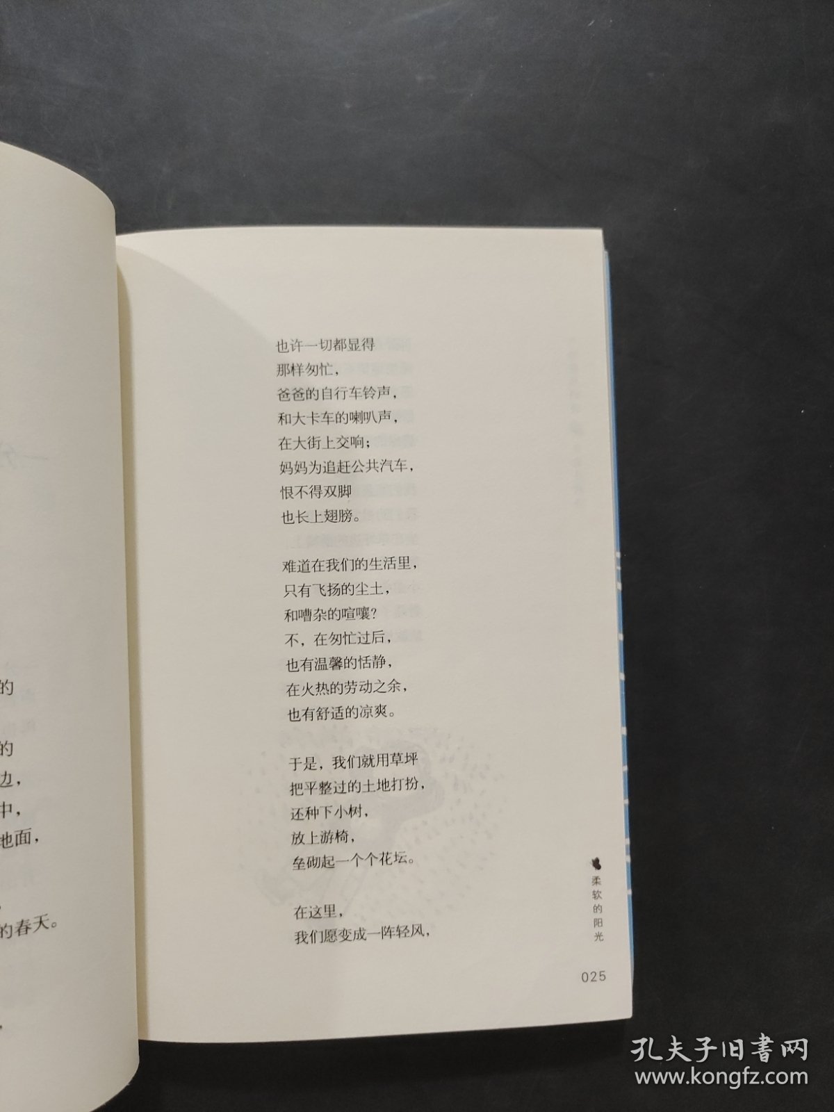 写给童年的诗