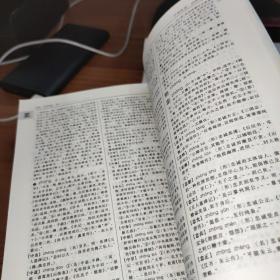 学生实用古汉语常用字词典 最新修订版