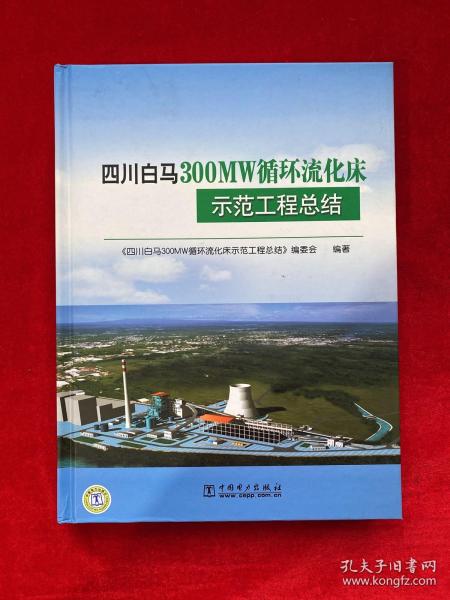 四川白马300MW循环流化床示范工程总结