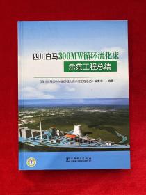 四川白马300MW循环流化床示范工程总结