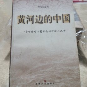 黄河边的中国:一个学者对乡村社会的观察与思考