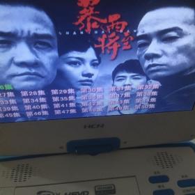 DVD2张 暴雨将至 五十集大型抗日谍战电视剧 黄志忠 陈小春 杨雪 等主演