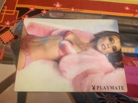 PLAYMATE 玩伴 美国时尚女性 写真卡片 内衣款式非常漂亮 美国原版印制 尺寸 17.5*13cm 稀少品 美品