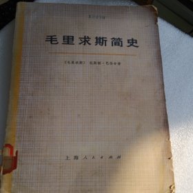 毛里求斯简史