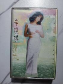 辛晓琪，遗忘