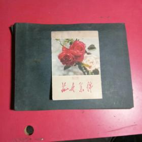 老画片花卉集册，五十年代画片38张（质夫，公炜，李味青，世光，寒江，曹克家，金雪尘，刘奎，顾坤伯等老家）花卉片33张