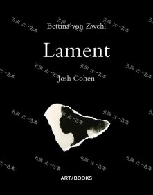 价可议 Bettina Von Zwehl Lament mgdzxdzx