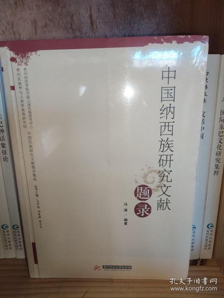 中国纳西族研究文献题录/中国民族研究文献题录集成