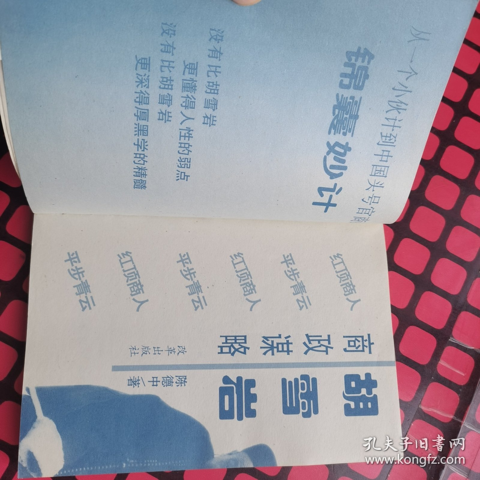 胡雪岩商政谋略:从一个小伙计到中国头号官商的锦囊妙计