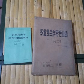 农业昆虫学彩色挂图+农业昆虫学彩色挂图说明书合售【彩色挂图共一大袋内装了八小袋、即第一集到第八集，挂图合计80张，均为2开大小彩图，是不可多得的研究和应用资料】（品相见图，内挂图基本全新，说明书85品左右）