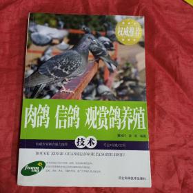 肉鸽 信鸽 观赏鸽养殖技术