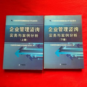 企业管理咨询实务与案例分析（套装上下册）