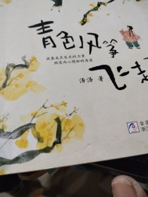 青色风筝飞走了 汤汤 著