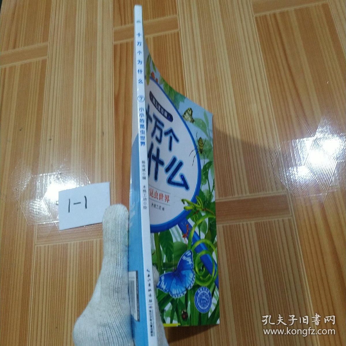 十万为什么（幼儿美绘版）：小小的昆虫世界