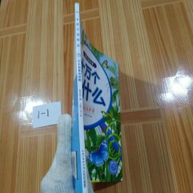 十万为什么（幼儿美绘版）：小小的昆虫世界