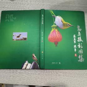鸟类摄影图集(大16开精装本)