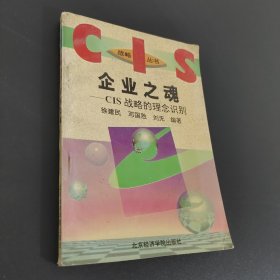 企业之魂:CIS战略的理念识别