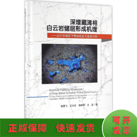 深埋藏滩相白云岩储层形成机理：以川中地区下寒武统龙王庙组为例