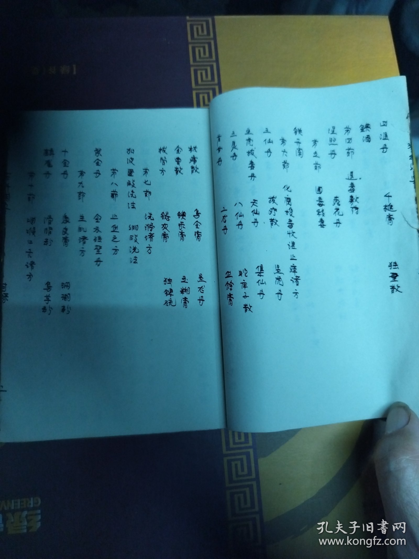 线装抄本《疡科纲要》