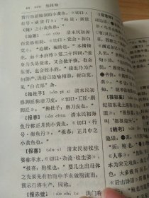 中国秘语行话词典