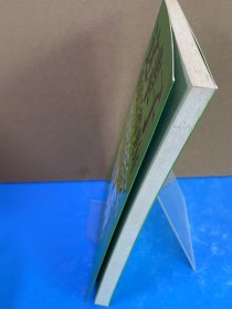 这辈子你能活得更好:被400万人验证、彻底掌控你的潜意识(畅销50多年,世界级的自我突破工具书)(美)科劳德·M.布雷斯托 董凤姣 成晨 译9787802503564中国言实出版社