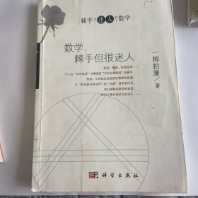 数学，棘手但很迷人