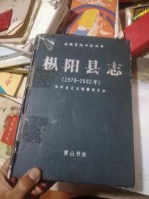 枞阳县志:1978-2002年