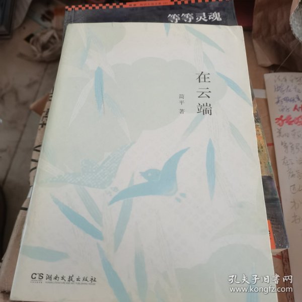 在云端（知名影视剧制片人、儿童文学作家患癌期间的生活故事，有关绝望与坚持，失去与得到）