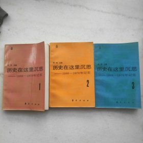 历史在这里沉思——1966-1976年记实（全三卷）