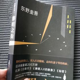 黎明之街（东野圭吾极具突破性的经典长篇小说）