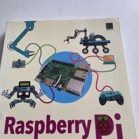 rasp berry pi