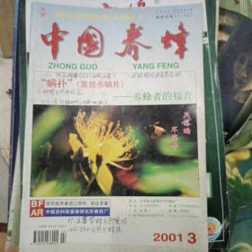 中国养蜂 2001 3