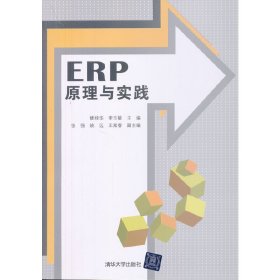 ERP原理与实践