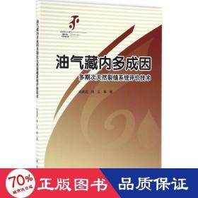 油气藏内多成因多期次天然裂缝系统评价技术 能源科学 邓虎成,周文